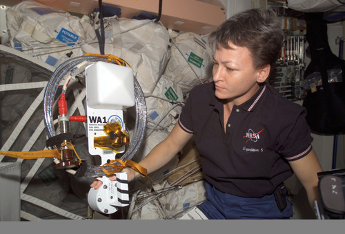 Astronaut Peggy Whitson, Expedition 5 Flight Engineer, holds one of the Amateur Radio antennas prior to installation on the ISS